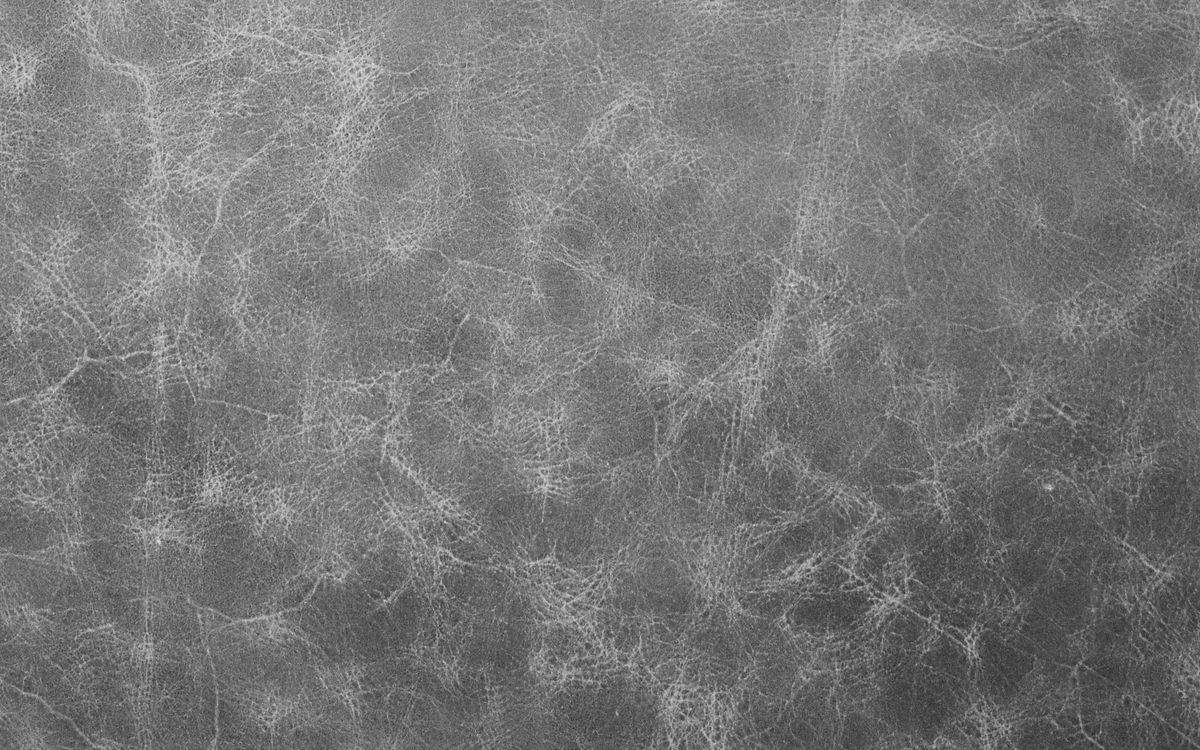 Primo piano di una pelle grigia morbida che mostra il fiore e la texture della superficie